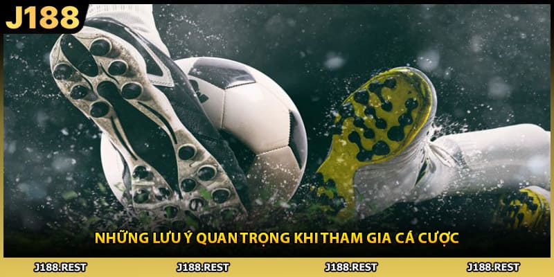 Những lưu ý quan trọng khi tham gia cá cược